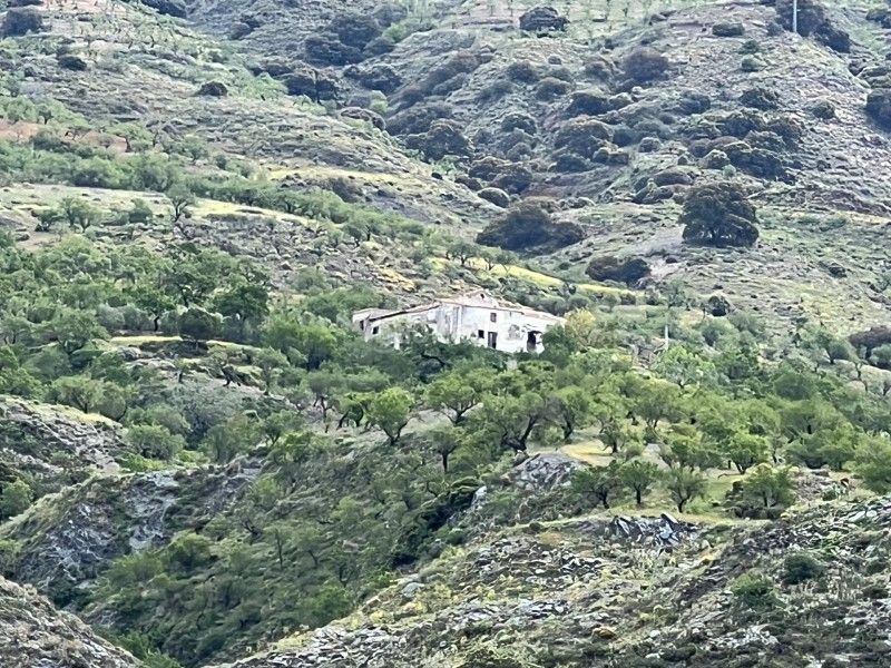 Foto c57b0f86-9489-47d4-b473-7b9036a9a7ab. Masia a Rubite