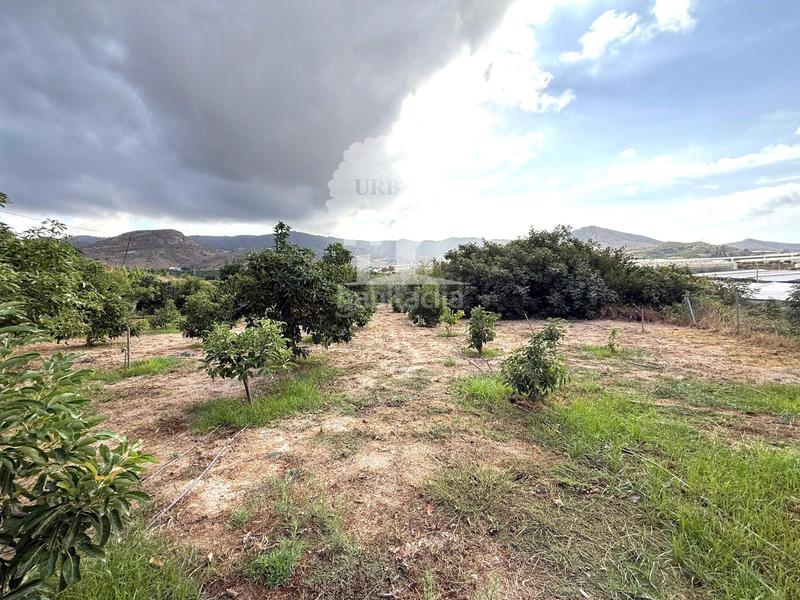 Foto 0b980cdb-e2b3-4724-8db8-8afdb5a5546d. Landgut in Los Tablones - La Garnatilla Motril