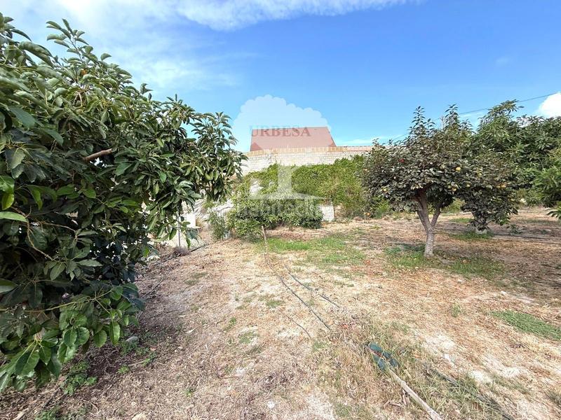 Foto 185d4ab0-ff1c-4cf3-822b-f1dfddad6a36. Landgut in Los Tablones - La Garnatilla Motril