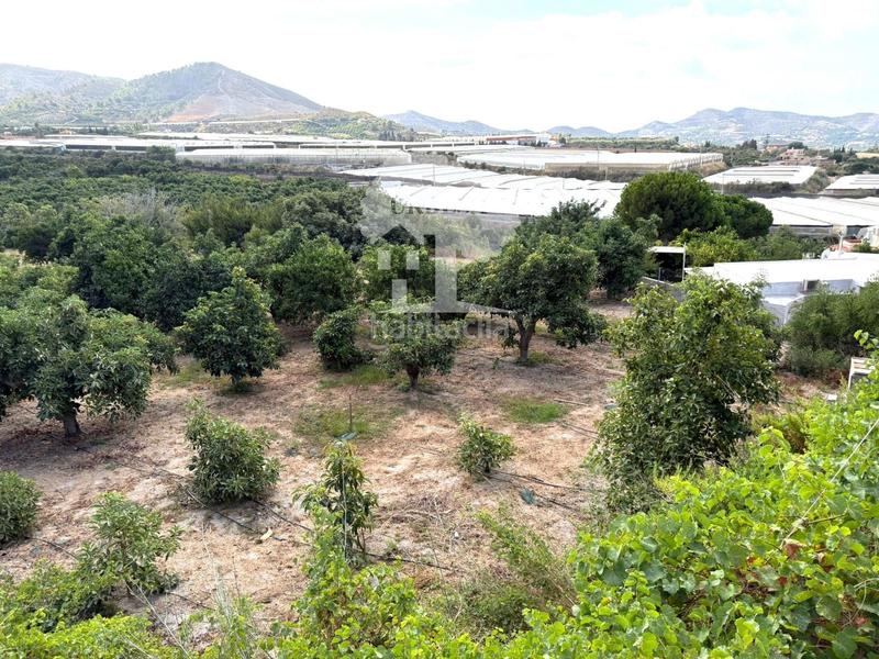 Foto 27630260-ced9-4620-81c1-84d07320885a. Landgut in Los Tablones - La Garnatilla Motril