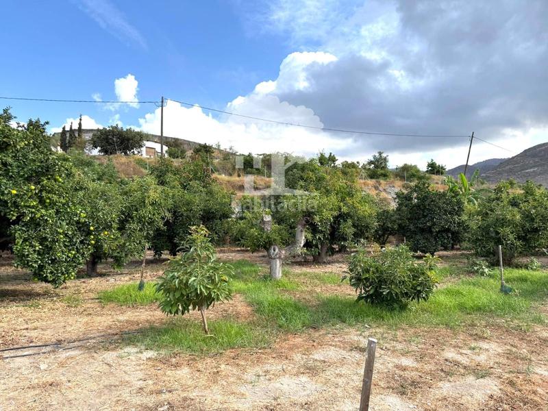 Foto 348f60d9-10d4-4ae6-908e-5094588e57cd. Landgut in Los Tablones - La Garnatilla Motril