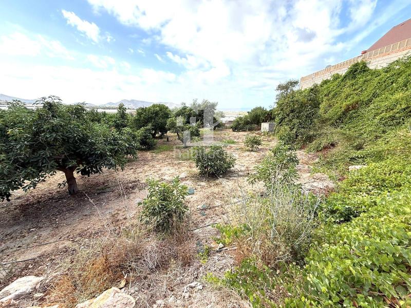 Foto 82243901-f736-4c54-ad6d-e7befe930170. Landgut in Los Tablones - La Garnatilla Motril