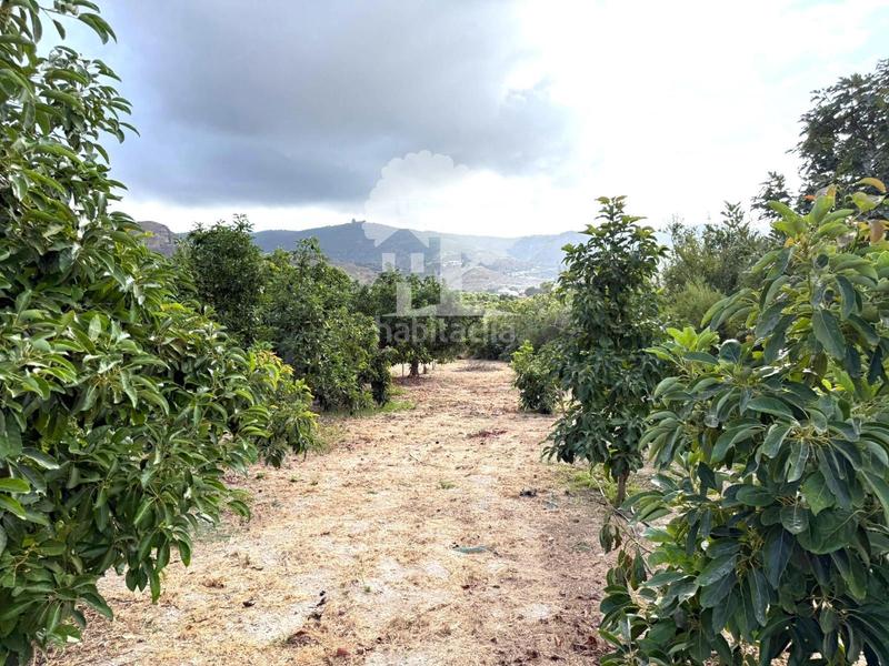 Foto 8acf8302-1e64-4fb8-acf2-ddec1843be50. Landgut in Los Tablones - La Garnatilla Motril