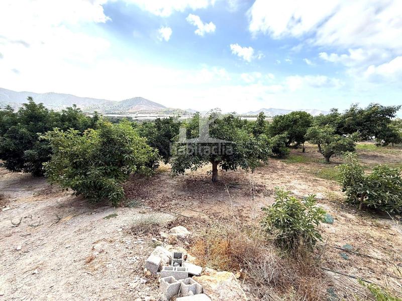 Foto 9e4a563c-050a-4ffe-a9f2-254878edd7d8. Landgut in Los Tablones - La Garnatilla Motril