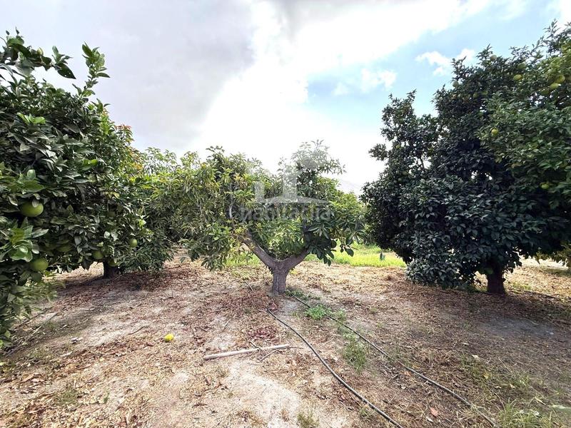 Foto a6b612b4-6393-4ae4-b844-8ae76f20bd3a. Landgut in Los Tablones - La Garnatilla Motril