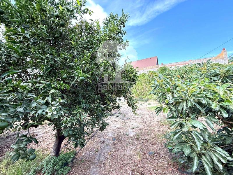 Foto b32bc959-f673-42d9-b10d-821b280cff47. Landgut in Los Tablones - La Garnatilla Motril