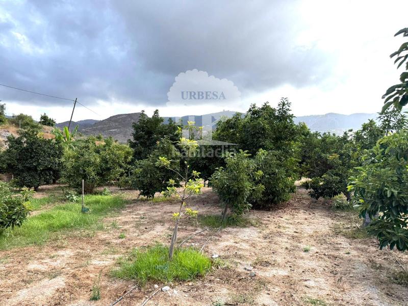 Foto dcb90d5a-1908-48ce-bc5f-76f09478e7b1. Landgut in Los Tablones - La Garnatilla Motril