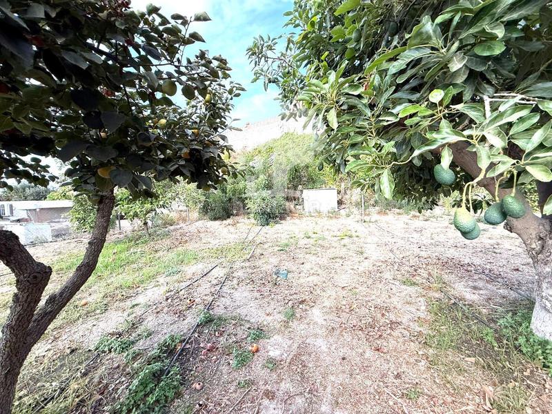 Foto e9ad6b1e-c415-4849-aebd-6d8fbad927d4. Landgut in Los Tablones - La Garnatilla Motril