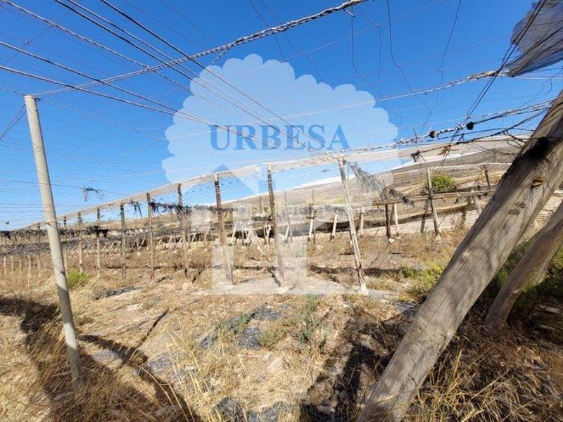 Foto 4483f0f1-5c6f-43f2-b6d6-279aaa0ecaa9. Fondo rustico in Motril ciudad Motril