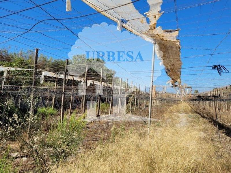 Foto 90a11778-fdd8-4c73-8f35-502dfc336d90. Fondo rustico in Motril ciudad Motril