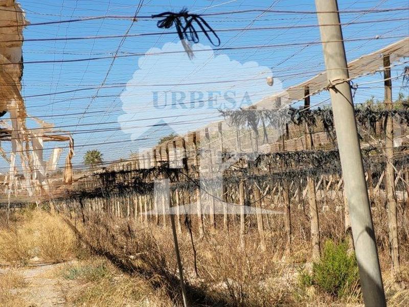 Foto c3b5ae06-a324-4b72-aad9-e12ce2f48bf0. Fondo rustico in Motril ciudad Motril