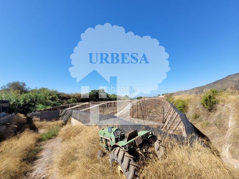 Foto d2efc809-947b-41a8-8c08-a105231587f0. Fondo rustico in Motril ciudad Motril