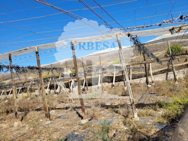 Foto e39e68f8-9e2b-42c8-94a5-b5e4df4afd79. Fondo rustico in Motril ciudad Motril