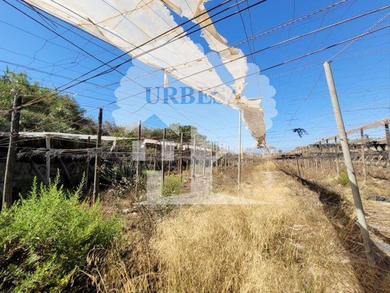 Foto e7a1ee40-1b34-4893-a3bf-f4361dff5c1b. Fondo rustico in Motril ciudad Motril