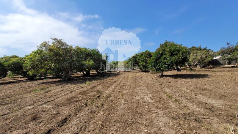 Foto 014b9f85-7944-48b4-9ebb-8566781ce80e. Propriété dans Torrenueva Motril