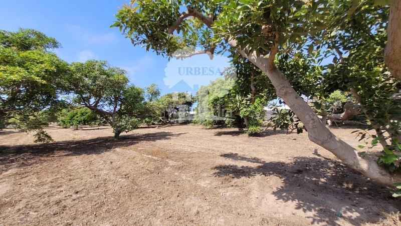 Foto 57f18682-2924-4940-81bb-c242d87d69a4. Propriété dans Torrenueva Motril
