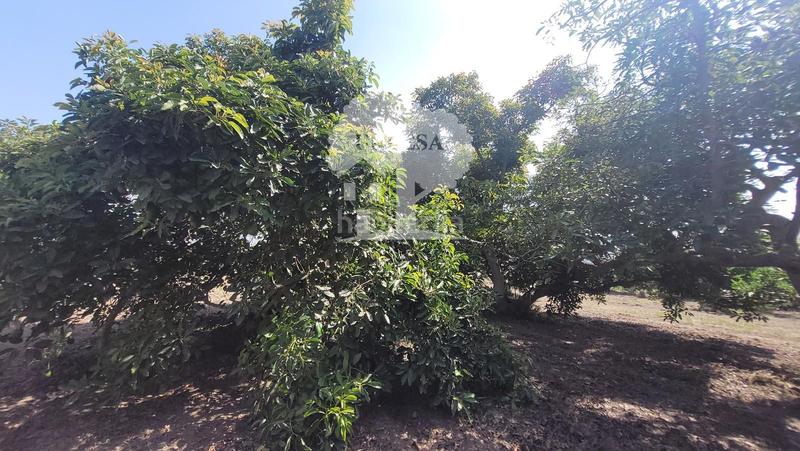 Foto 83ce71b4-c2f5-4ca6-84bb-259427f6bd26. Propriété dans Torrenueva Motril