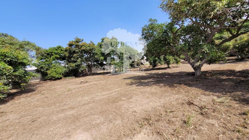 Foto c283fa1a-f3dd-45a7-99f2-e06b5669710d. Propriété dans Torrenueva Motril