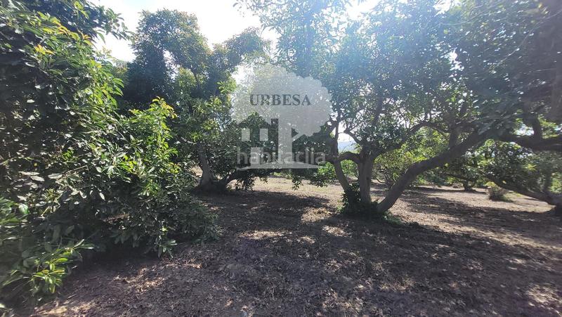 Foto dfd5aada-13cd-403b-ba7a-9ccc3ade0a5d. Propriété dans Torrenueva Motril