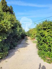 Terreny residencial a Los Tablones - La Garnatilla. Finca de aguacates  en plena producción  de 31605m2 y casa corti