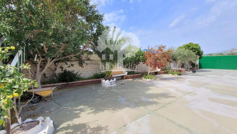 Foto 516cad70-08af-44b1-b2c1-e1369d421e34. Fondo rustico in Playa de Granada Motril