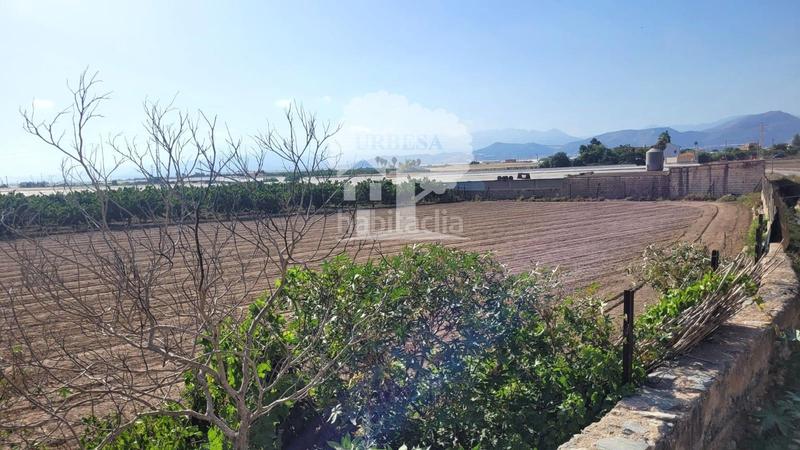 Foto 9d385c85-5d59-4164-927c-3a165600a7c5. Landgut in Torrenueva Motril