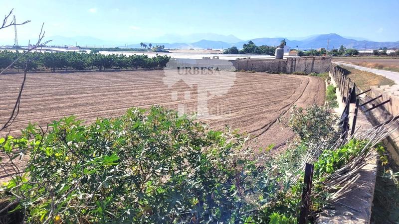 Foto bd30d00f-c17d-4ce4-8032-241c75abc0ed. Landgut in Torrenueva Motril