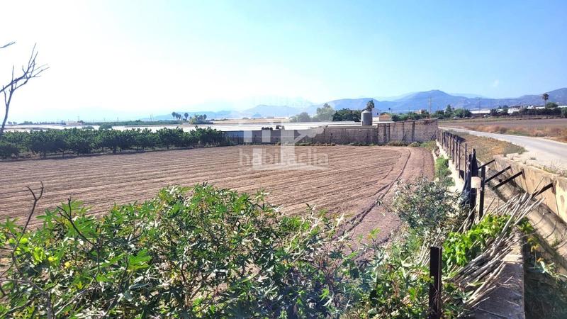 Foto f180ecd6-3ae4-4eca-abbf-623aa2bfe402. Landgut in Torrenueva Motril