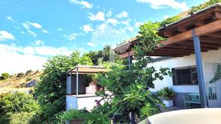 Finca rústica a Los Tablones - La Garnatilla. Finca de frutos tropicales en modalidad de aguacates, 42 marjale