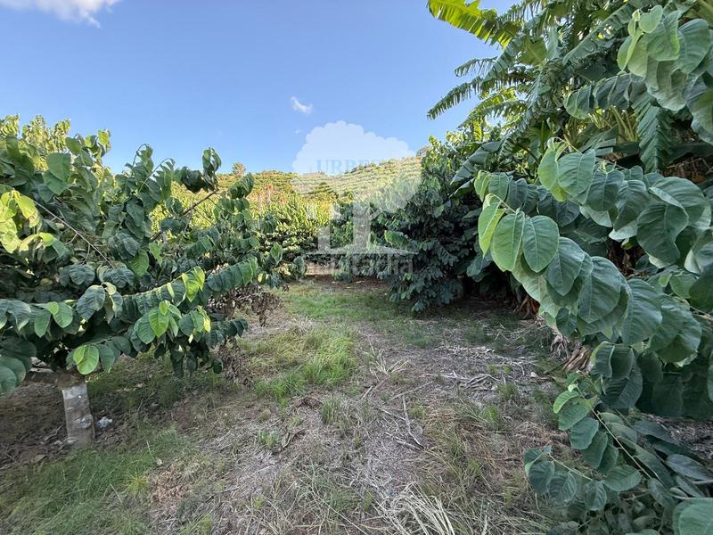 Foto 37421f2c-138c-439e-a852-54bcaf3f7d1b. Rural plot in Motril ciudad Motril