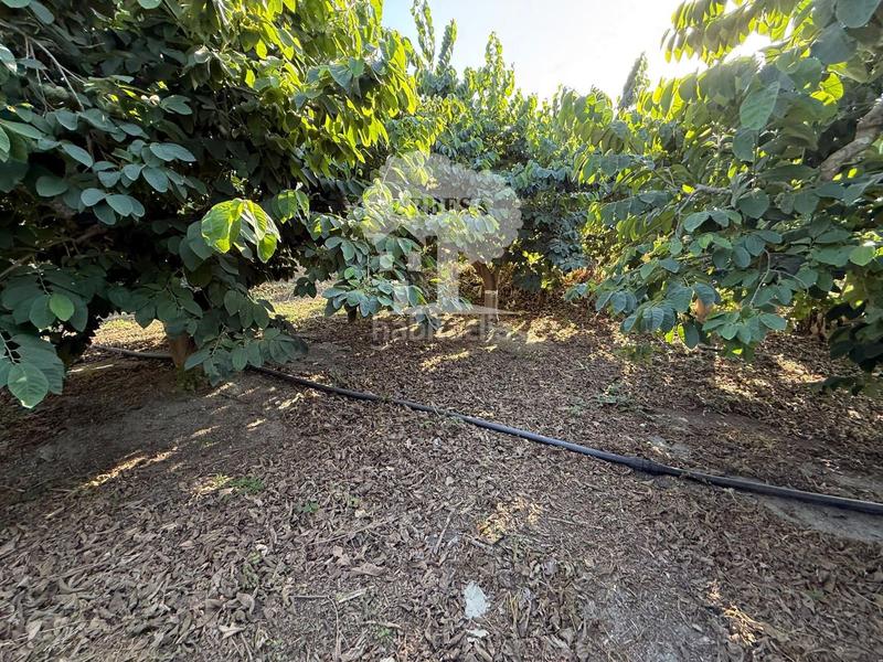 Foto 43e5293c-b621-4be1-b3c8-b885332564a9. Rural plot in Motril ciudad Motril