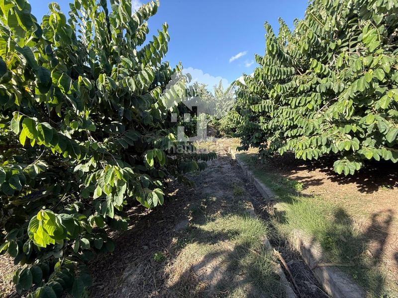 Foto 9816e616-bf9e-44f8-8172-c1f1a5b2b594. Rural plot in Motril ciudad Motril