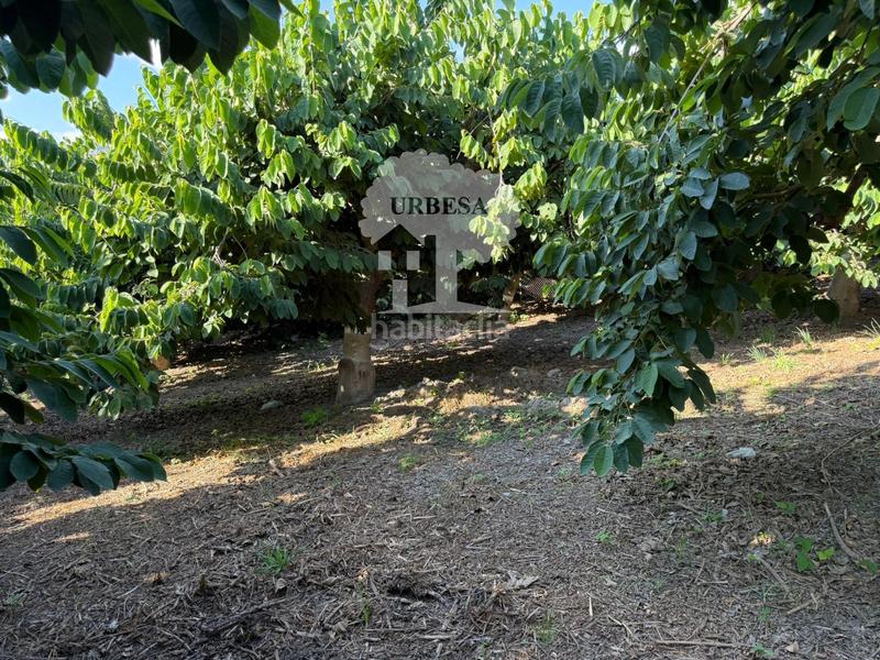 Foto 9ffbdeb7-208a-419b-a7ee-d193c6ba7bda. Rural plot in Motril ciudad Motril