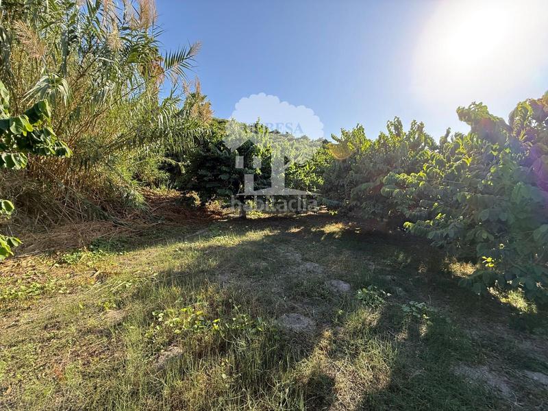 Foto e3d72f04-17a9-41a8-8745-ac8cebcddd4a. Rural plot in Motril ciudad Motril