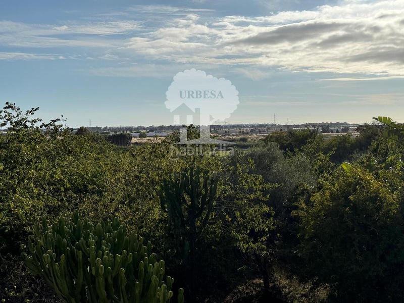 Foto f04da926-1472-426a-910c-cdc7d16eb1e4. Finca rústica a Motril ciudad Motril