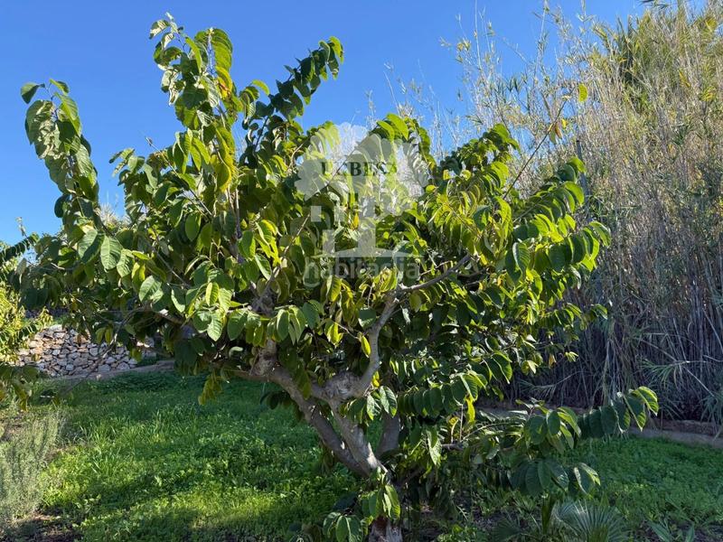 Foto 02bc34fb-ce5f-418d-8191-84aafd2fce71. Propriété dans Los Tablones - La Garnatilla Motril