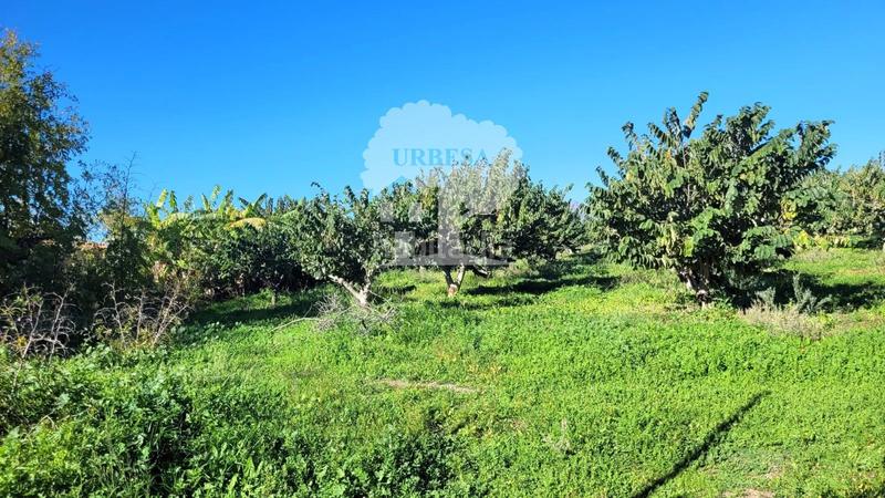 Foto 258e9efe-5542-4806-996e-0ba48e88e8cc. Propriété dans Los Tablones - La Garnatilla Motril