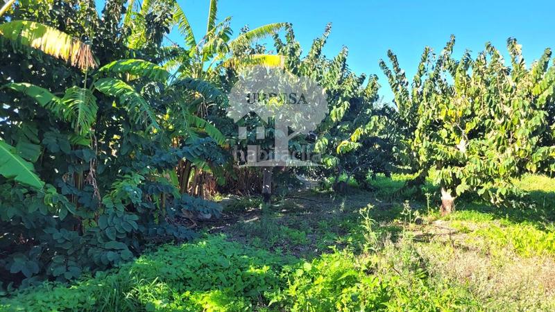 Foto 36da31fa-6154-4d2b-81f2-8d89c8d4e9af. Propriété dans Los Tablones - La Garnatilla Motril