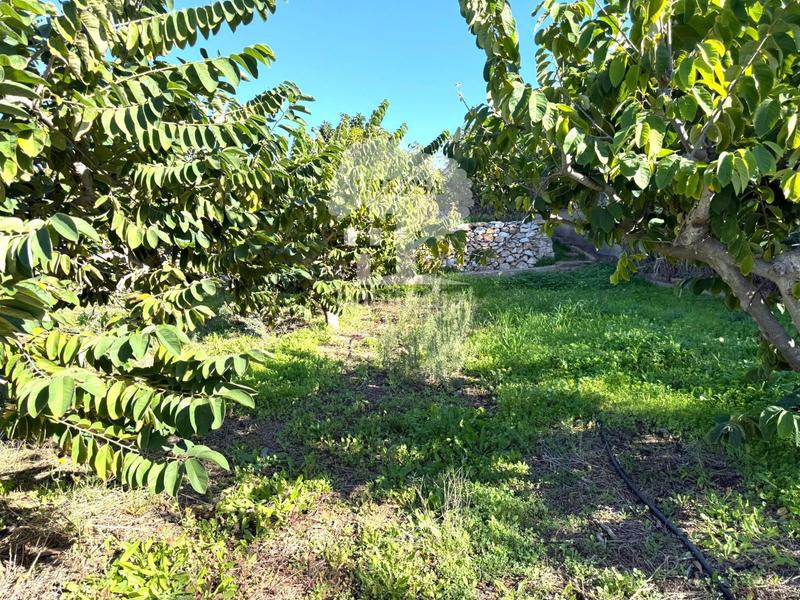 Foto 479b6a86-a4d8-4cd0-a851-c2be122b0a8e. Propriété dans Los Tablones - La Garnatilla Motril