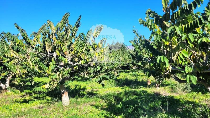 Foto 8fccb276-2fc9-45b1-b92f-760bb5dd9072. Propriété dans Los Tablones - La Garnatilla Motril