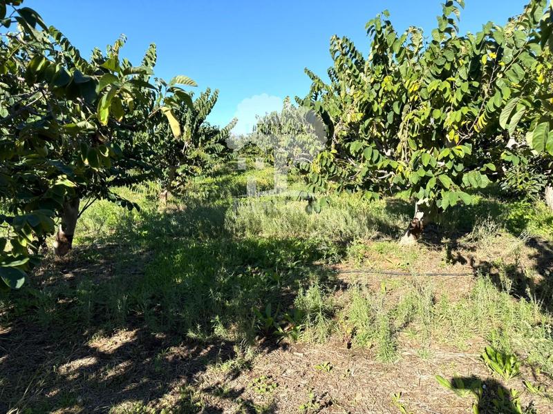 Foto d8822aee-aea3-4c4f-a28c-2f6258f5e73a. Propriété dans Los Tablones - La Garnatilla Motril