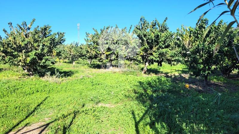 Foto e3f2d084-41d4-43fd-9db2-4afe654a433f. Propriété dans Los Tablones - La Garnatilla Motril