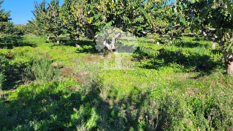 Foto f3512c6d-66ec-4719-8b8e-a1f0fbf39143. Propriété dans Los Tablones - La Garnatilla Motril