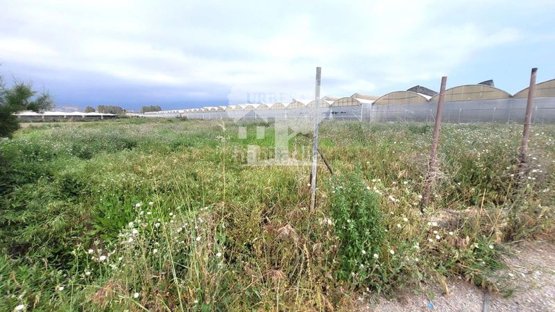 Foto 490b8971-63f2-4e48-a178-12c8fbf48fad. Finca rústica a Playa de Granada Motril