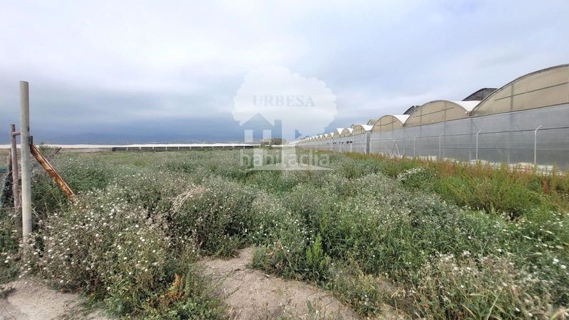 Foto 939eb460-88a9-45c4-b875-e9ba95806bb9. Finca rústica a Playa de Granada Motril
