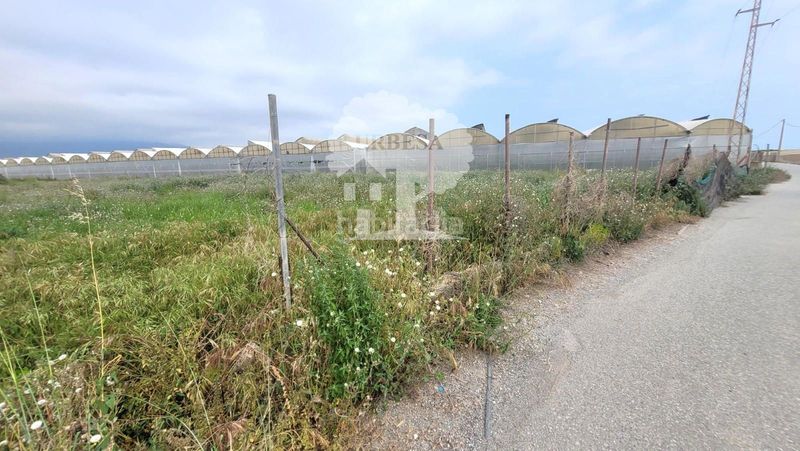 Foto df1bb172-e2c4-4f70-aa2e-ecdd4c9a2fa3. Finca rústica a Playa de Granada Motril