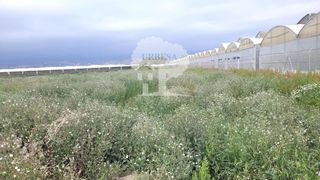 Finca rústica a Paterna