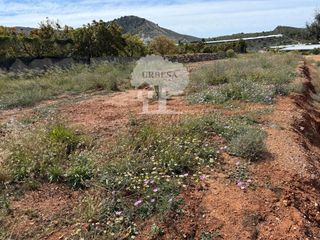 Finca rústica  Olivarillo artero. Finca  de 1978,41 m2  en el llano de la garnatilla, agua de la c