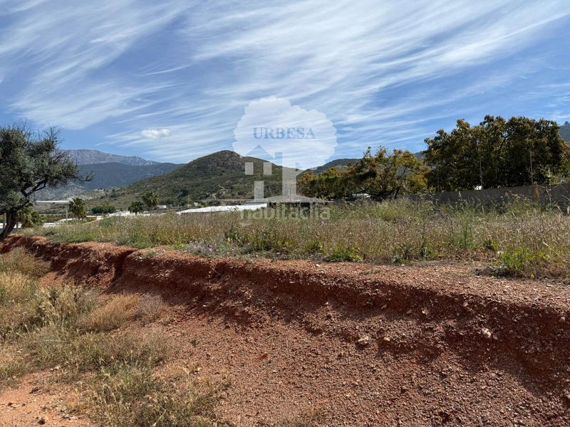 Foto 0a24243e-9d1d-4023-91b1-1aa1c1d19555. Finca rústica a Los Tablones - La Garnatilla Motril