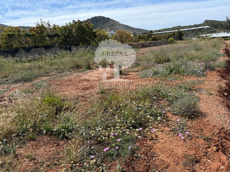 Foto 984b8ac6-98e8-45f4-9808-9f513281c1f3. Finca rústica a Los Tablones - La Garnatilla Motril